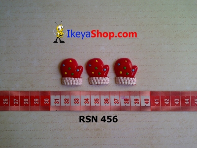 rsn 456  large2